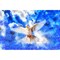 Posterazzi Paint effect of a dove in the sky Poster Print by 770 Productions 12524383